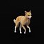 Cane Dingo