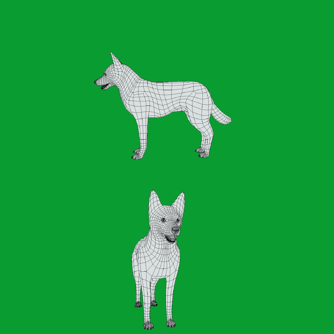 3D Dingo Dog https://p.turbosquid.com/ts-thumb/Um/B9otw2/aM/wire/png/1769704679/1920x1080/fit_q87/8cd6c5c8d9fb363a64db89e7582cf65ab26b52a8/wire.jpg