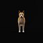 Cane Dingo