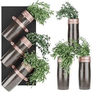 Collection plant vol 64 3D