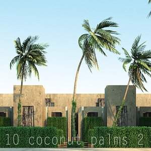 2 coconut 3d max