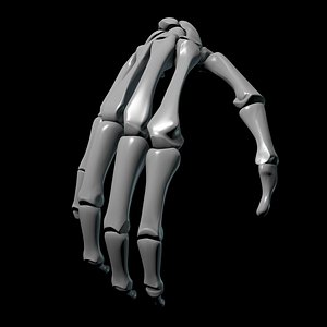 Hand bone