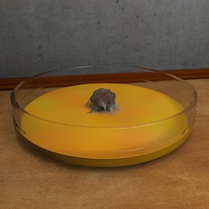 Tissue Sample In A Petri Dish