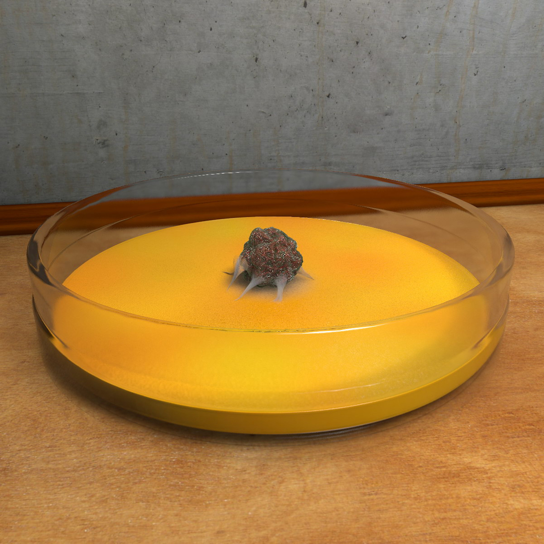 clump petri dish c4d https://p.turbosquid.com/ts-thumb/Um/U8TiAz/kw3CyuGr/zelleturn/jpg/1353936033/1920x1080/turn_fit_q99/ce55244b0ec46a40862af14bdf786cbfee8a1043/zelleturn-1.jpg