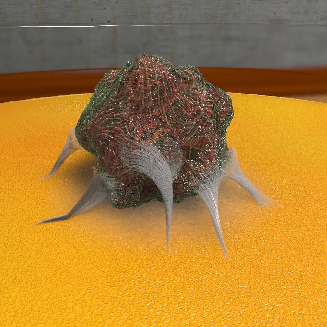 clump petri dish c4d https://p.turbosquid.com/ts-thumb/Um/U8TiAz/pb6wOmXd/zelle002/jpg/1353935938/1920x1080/fit_q87/6474831be50717def31ab22aba9c60c00e43a51d/zelle002.jpg