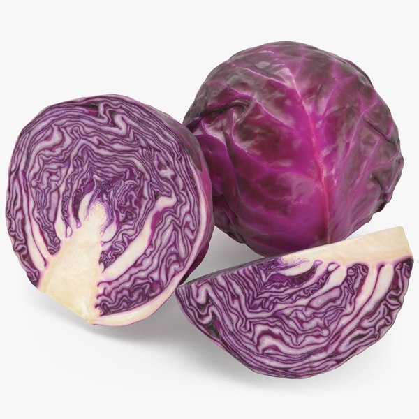 Red Cabbage 2 3D model