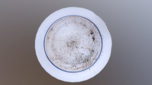 old dirty plate 4
