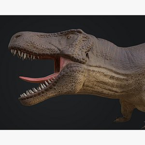 3D Tyrannosaurus rex