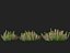 Teucrium chamaedrys - Germandrée des murs HighPoly- LowPoly