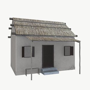 Village House 3D model