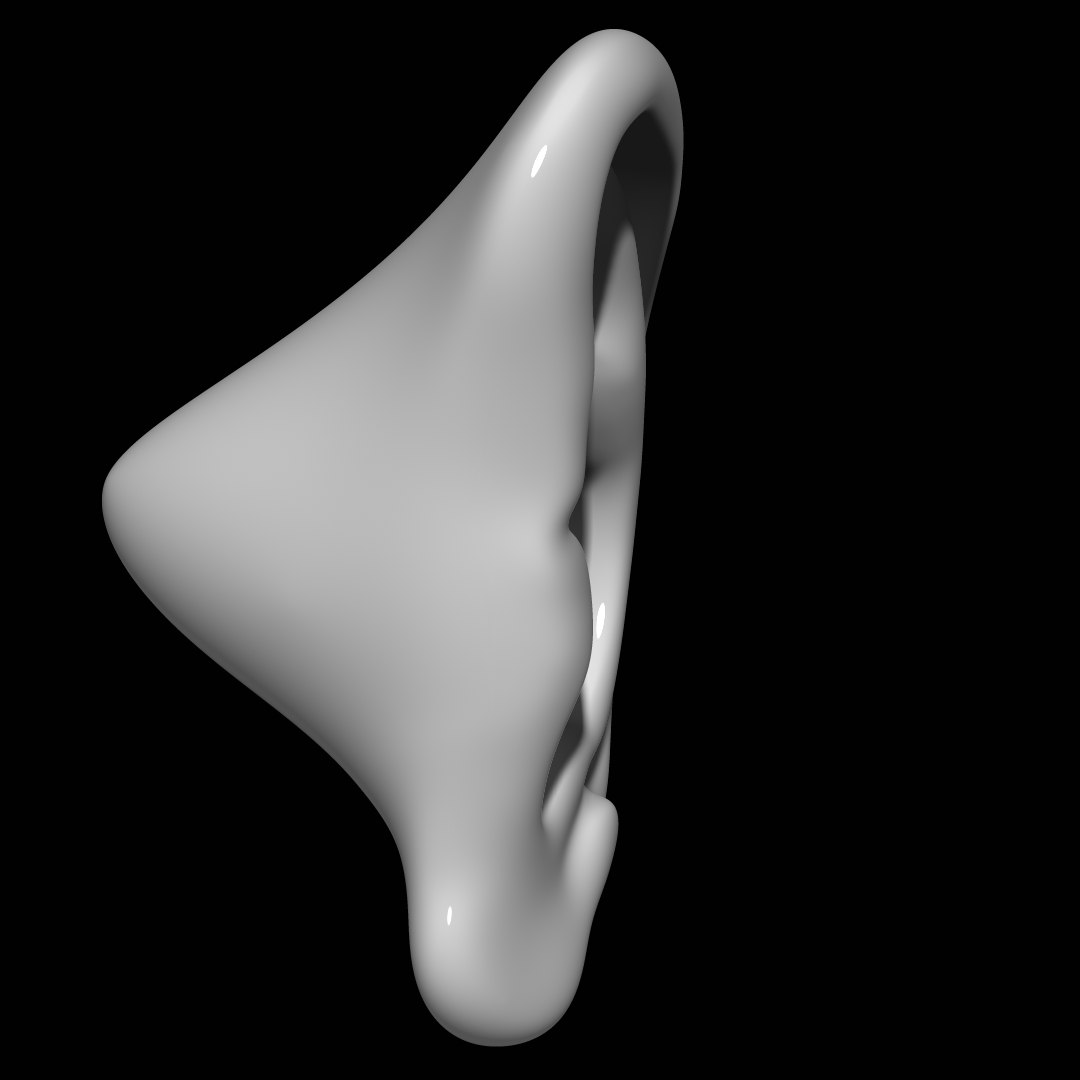 3D Model Ear Mannequin Anatomy - TurboSquid 1297208