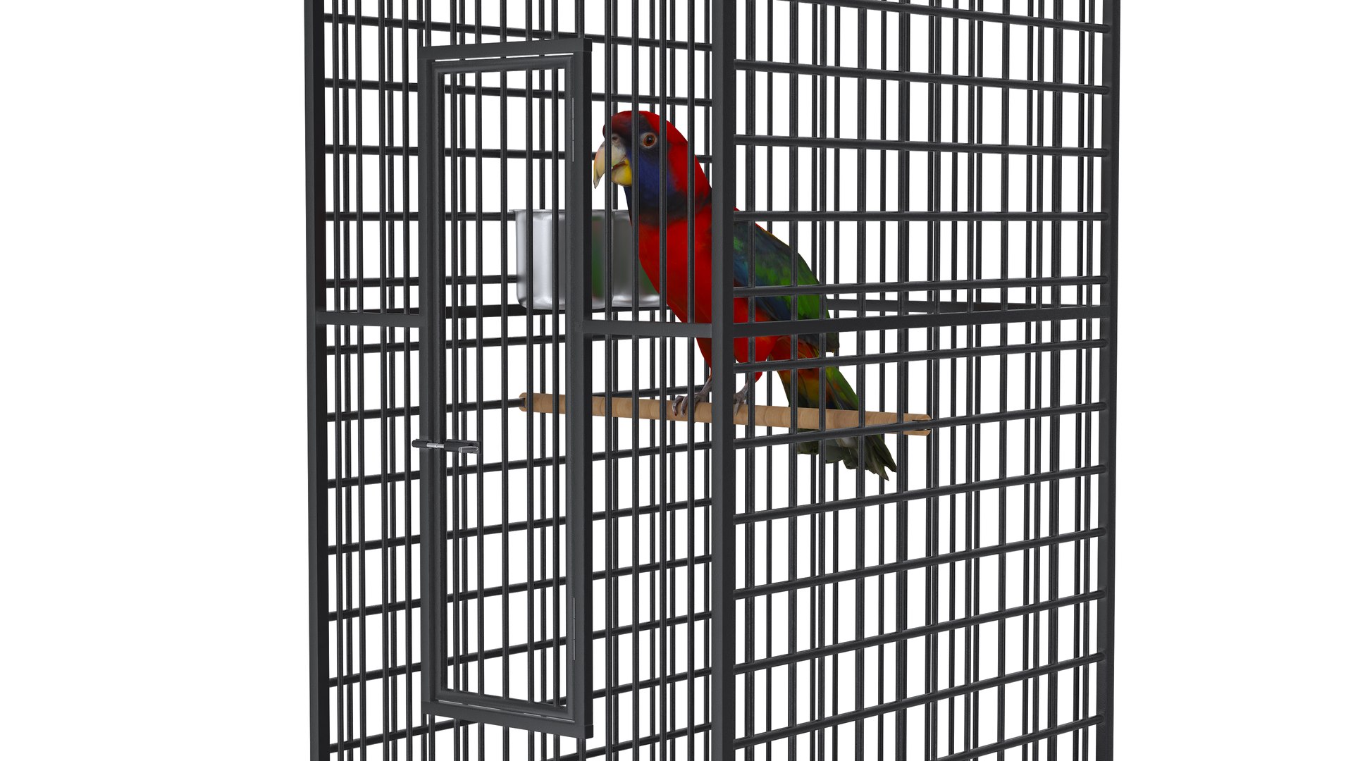 3D model Bird Cage with Parrot https://p.turbosquid.com/ts-thumb/Um/xqZvwO/7X/birdcagewithparrot5/jpg/1734722091/1920x1080/fit_q87/b9dd3be0292b3fffedbfaf59bd7af46ba30e5cfc/birdcagewithparrot5.jpg