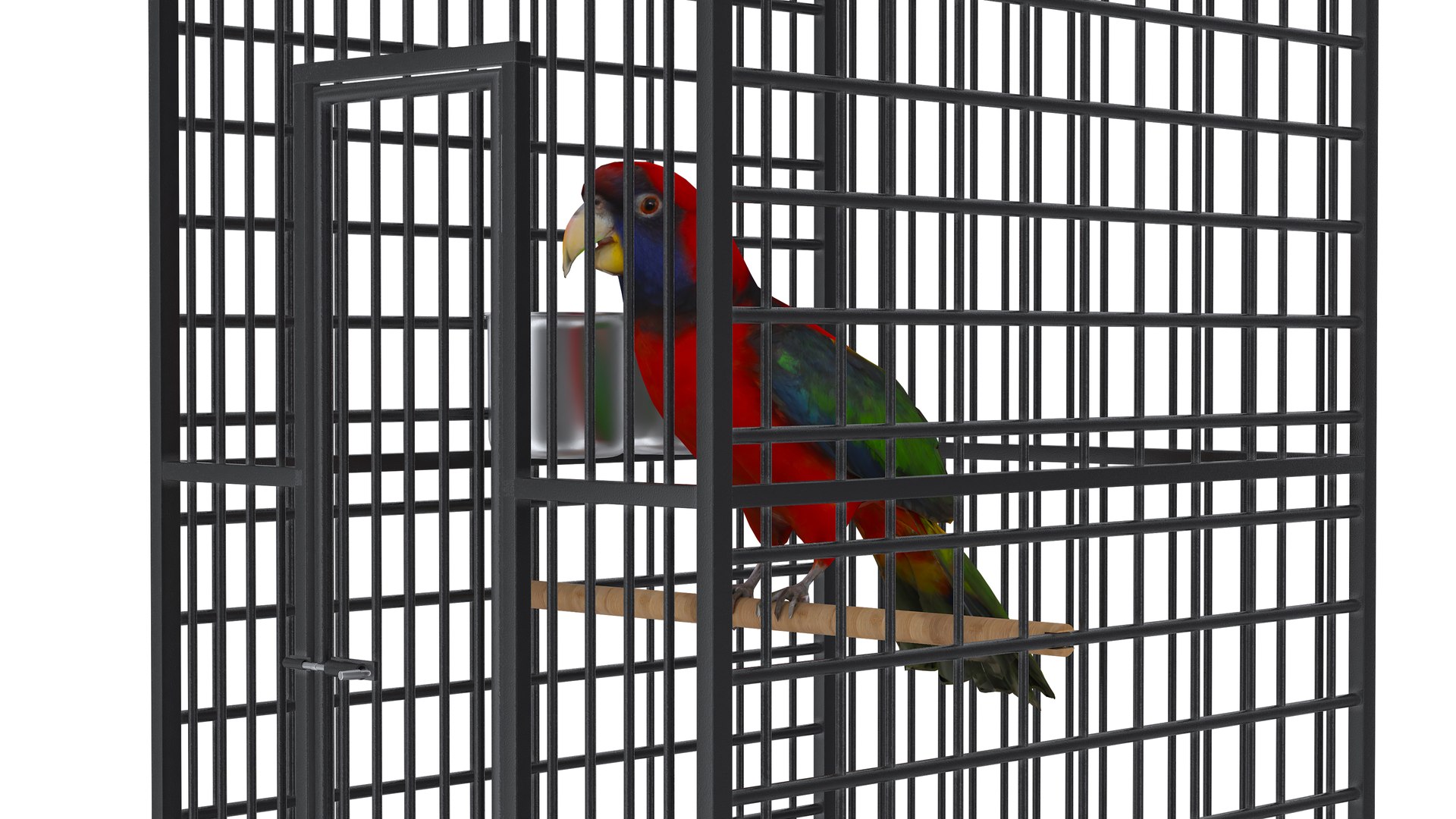 3D model Bird Cage with Parrot https://p.turbosquid.com/ts-thumb/Um/xqZvwO/FK/birdcagewithparrot8/jpg/1734722098/1920x1080/fit_q87/ef2540c937307465747effe9d301701da01d98bd/birdcagewithparrot8.jpg