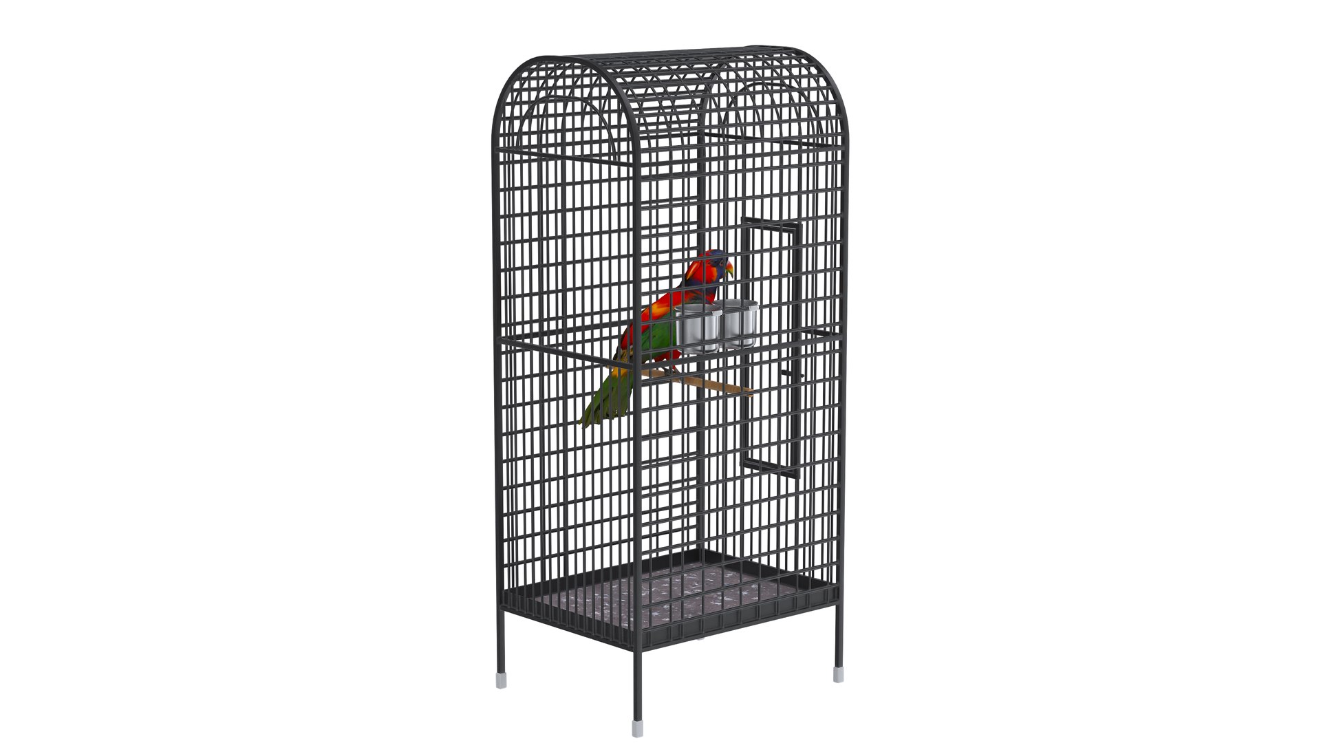 3D model Bird Cage with Parrot https://p.turbosquid.com/ts-thumb/Um/xqZvwO/Rd/birdcagewithparrot6/jpg/1734722091/1920x1080/fit_q87/96585c9d98baf798fdd79dd2a5910b43461bee97/birdcagewithparrot6.jpg
