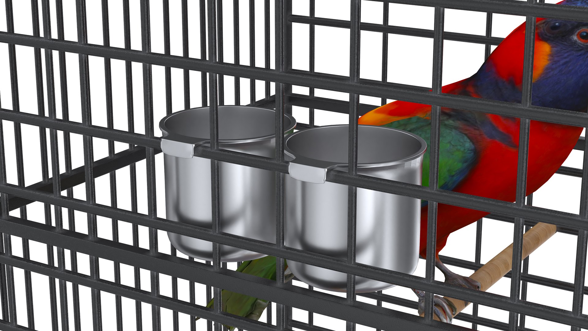 3D model Bird Cage with Parrot https://p.turbosquid.com/ts-thumb/Um/xqZvwO/TW/birdcagewithparrot11/jpg/1734722108/1920x1080/fit_q87/9d6e8d0486e79451da161d79ed6791cdb4d0ec6b/birdcagewithparrot11.jpg