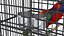 Bird Cage with Parrot