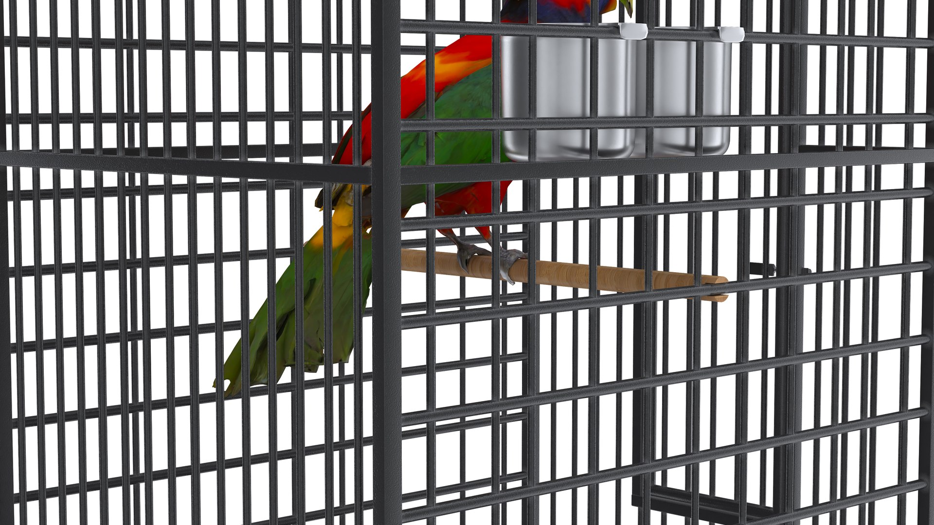 3D model Bird Cage with Parrot https://p.turbosquid.com/ts-thumb/Um/xqZvwO/XK/birdcagewithparrot12/jpg/1734722111/1920x1080/fit_q87/e230760fa30468af0a5f0046e42f1f3538f58600/birdcagewithparrot12.jpg