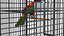 Bird Cage with Parrot