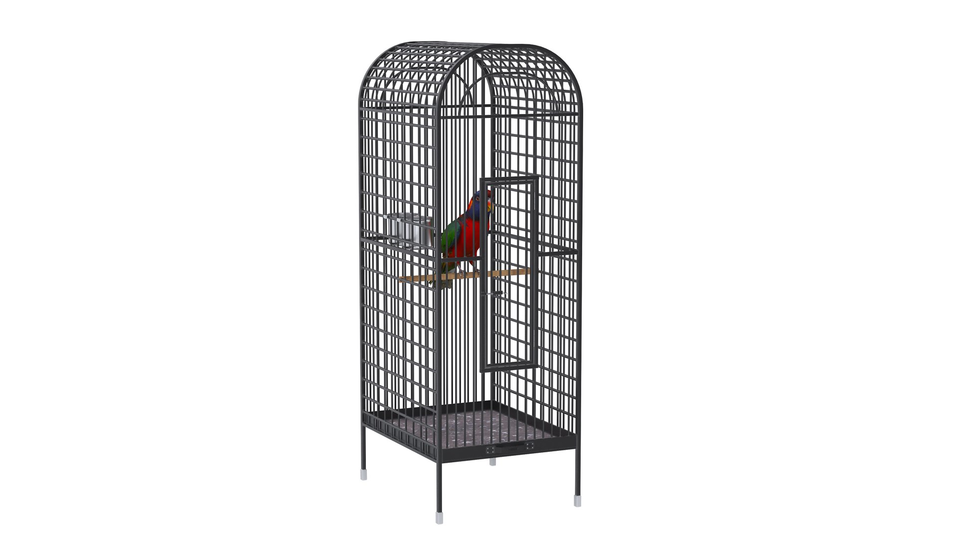 3D model Bird Cage with Parrot https://p.turbosquid.com/ts-thumb/Um/xqZvwO/oG/birdcagewithparrot3/jpg/1734722087/1920x1080/fit_q87/0cb0138ddfdf9ab3c0f88033214236d97d15d04c/birdcagewithparrot3.jpg