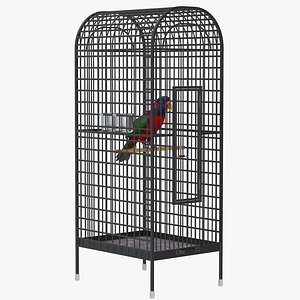 Bird Cage with Parrot