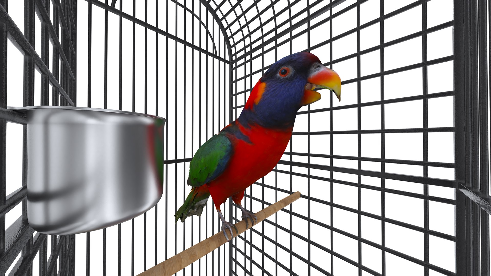 3D model Bird Cage with Parrot https://p.turbosquid.com/ts-thumb/Um/xqZvwO/uQ/birdcagewithparrot13/jpg/1734722114/1920x1080/fit_q87/9fedf4bec8ee388668c23ee7fa49d225776db4fe/birdcagewithparrot13.jpg