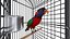 Bird Cage with Parrot