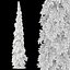 Weeping white spruce