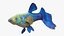 Guppy Fish Blue Diamond Rigged for Maya