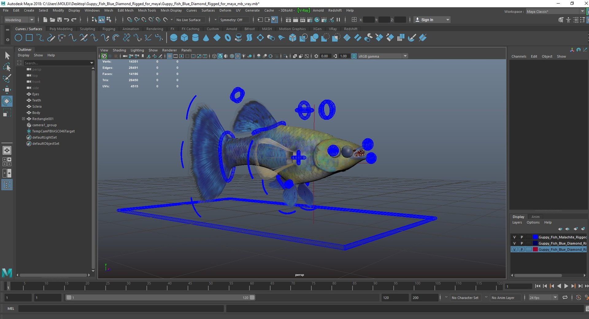 3D Guppy Fish Blue Diamond Rigged for Maya https://p.turbosquid.com/ts-thumb/Un/HtjP4i/Tg/guppyfishbluediamondriggedformayac4dmodel038/jpg/1725519525/1920x1080/fit_q87/b7491607b0827e1bb36a643905d4a2ced76fc4d4/guppyfishbluediamondriggedformayac4dmodel038.jpg