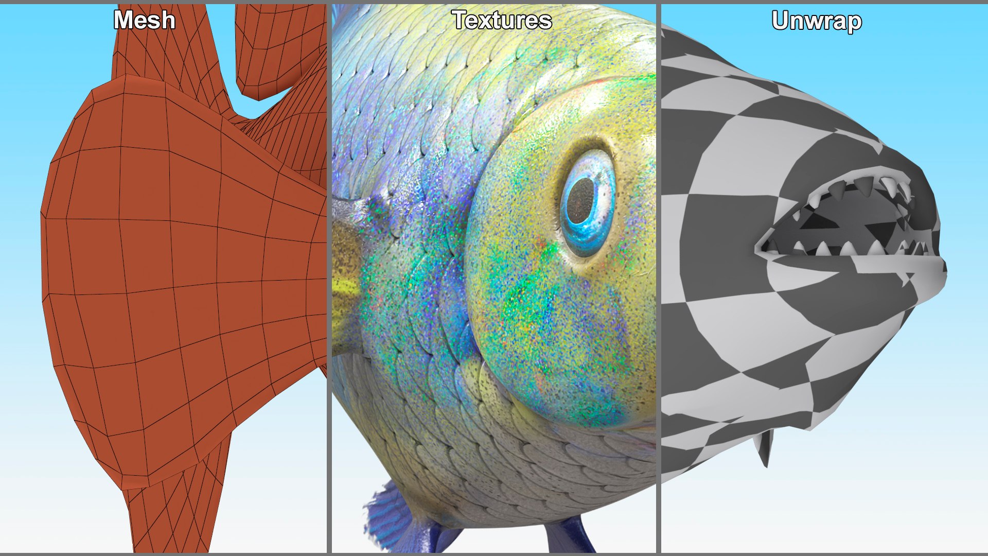 3D Guppy Fish Blue Diamond Rigged for Maya https://p.turbosquid.com/ts-thumb/Un/HtjP4i/aT/guppyfishbluediamondriggedformayac4dmodel025/jpg/1725519483/1920x1080/fit_q87/c520626f916063584640d561a29bc801c926eda5/guppyfishbluediamondriggedformayac4dmodel025.jpg