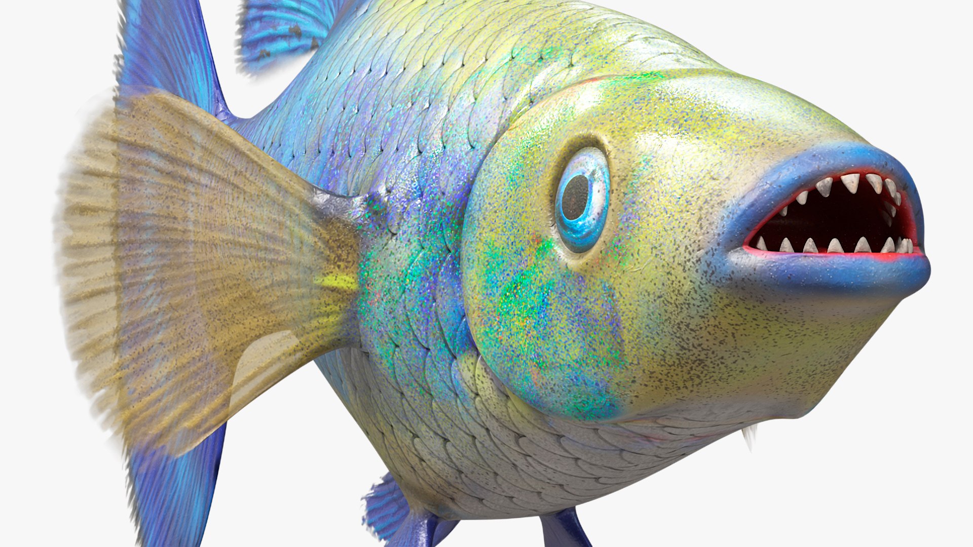 3D Guppy Fish Blue Diamond Rigged for Maya https://p.turbosquid.com/ts-thumb/Un/HtjP4i/jM/guppyfishbluediamondriggedformayac4dmodel021/jpg/1725519469/1920x1080/fit_q87/0122141bf86ef0213b959449c19abe33c3b844ab/guppyfishbluediamondriggedformayac4dmodel021.jpg