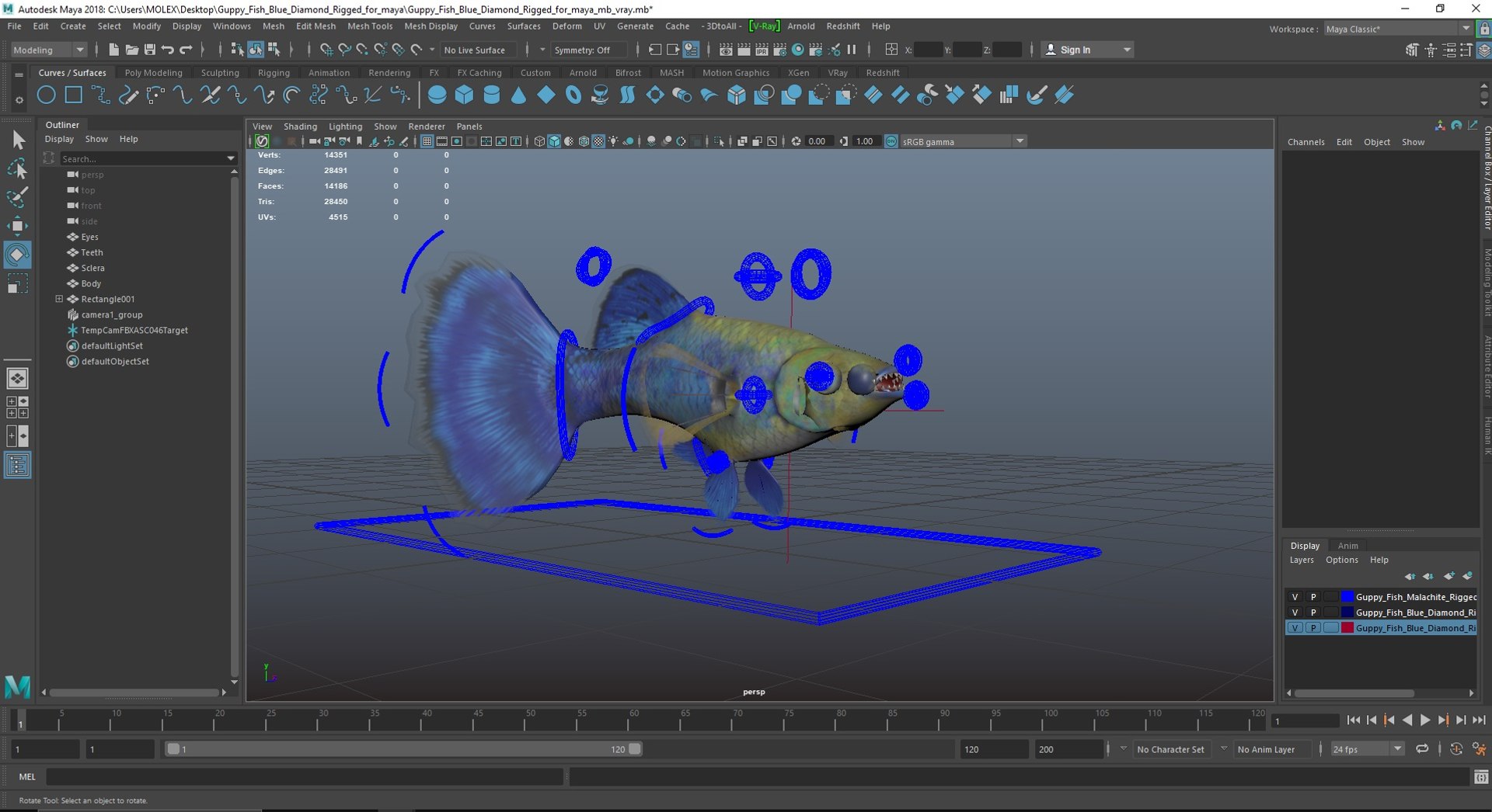 3D Guppy Fish Blue Diamond Rigged for Maya https://p.turbosquid.com/ts-thumb/Un/HtjP4i/jW/guppyfishbluediamondriggedformayac4dmodel041/jpg/1725519534/1920x1080/fit_q87/7671df3a5e43be99e2fa74696a2af2a44fc6857a/guppyfishbluediamondriggedformayac4dmodel041.jpg
