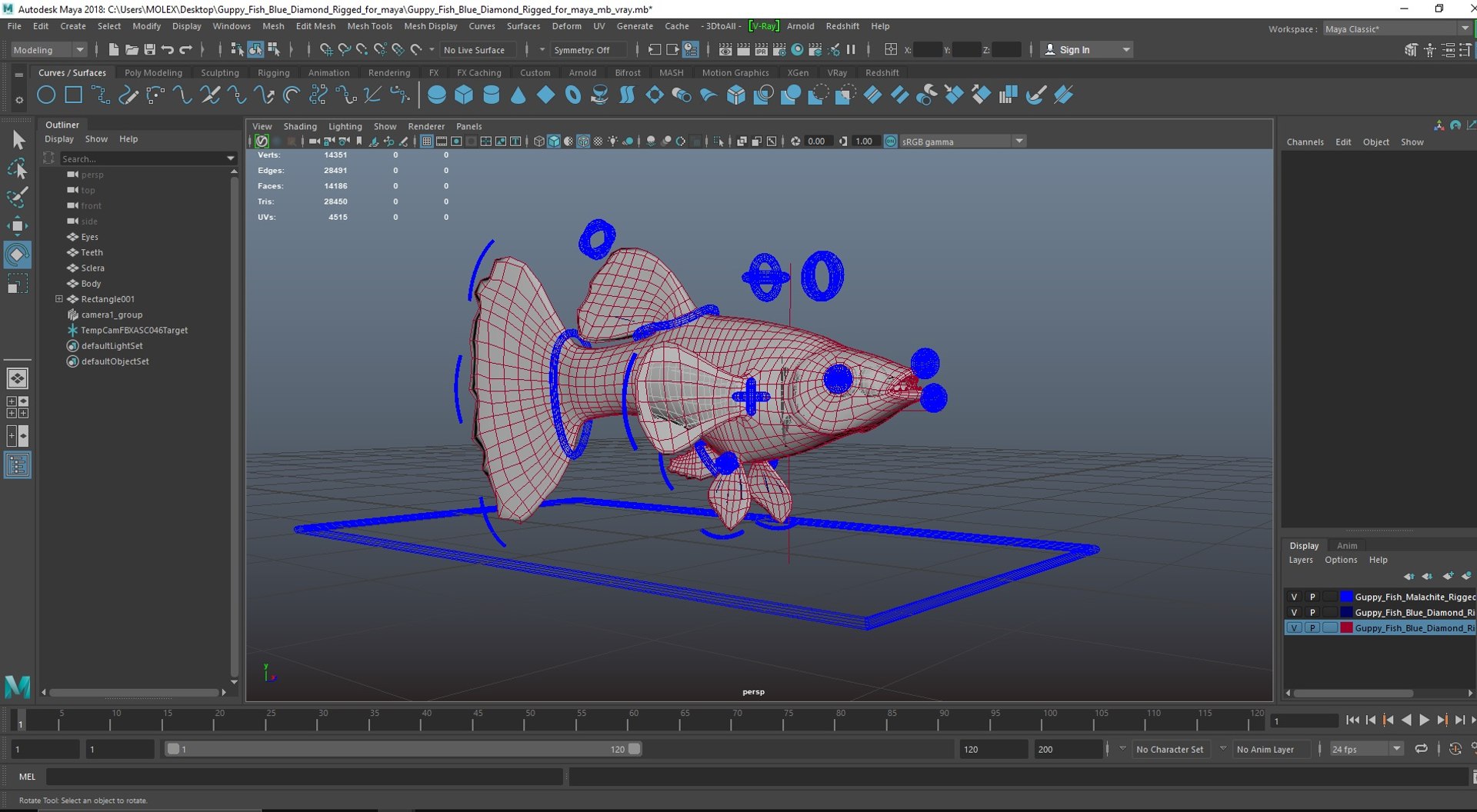 3D Guppy Fish Blue Diamond Rigged for Maya https://p.turbosquid.com/ts-thumb/Un/HtjP4i/l7/guppyfishbluediamondriggedformayac4dmodel039/jpg/1725519528/1920x1080/fit_q87/d3726ad9df522643a2fe2899d5e39d5d5f2b4ef9/guppyfishbluediamondriggedformayac4dmodel039.jpg