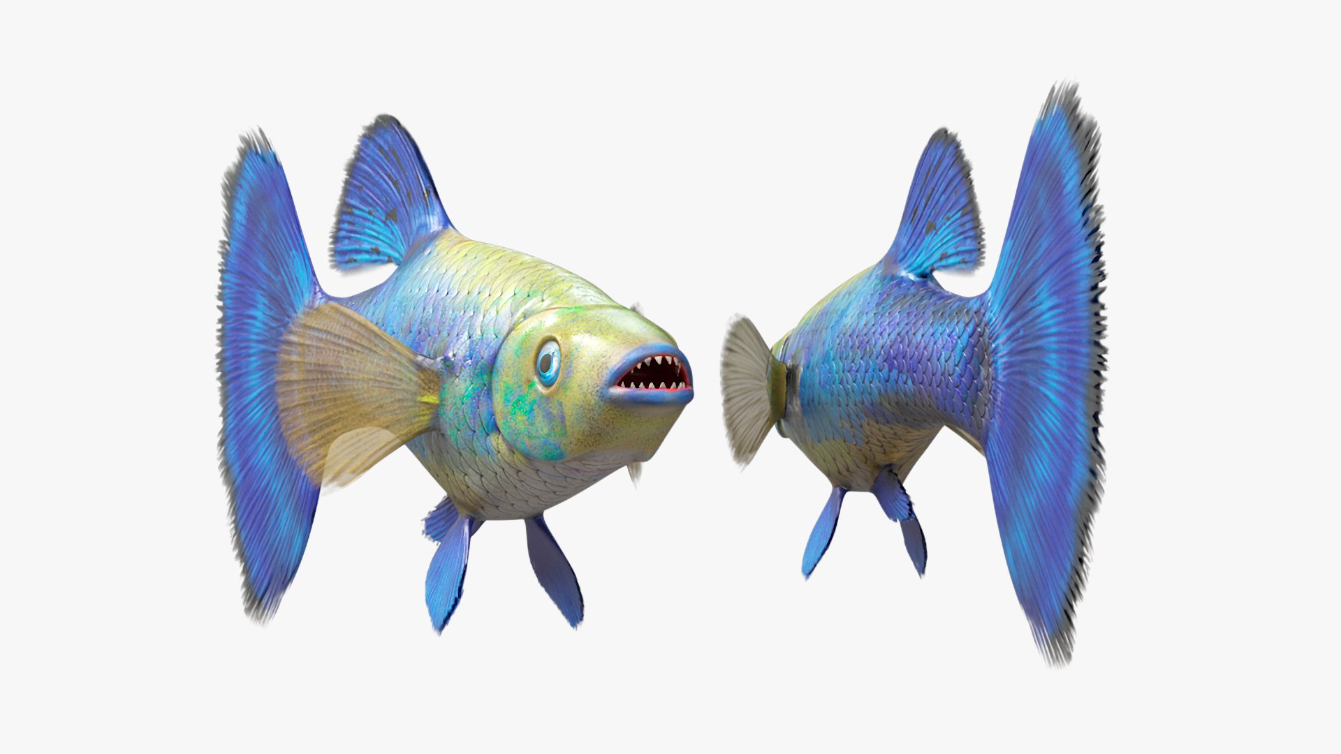 3D Guppy Fish Blue Diamond Rigged for Maya https://p.turbosquid.com/ts-thumb/Un/HtjP4i/wb/guppyfishbluediamondriggedformayac4dmodel013/jpg/1725519444/1920x1080/fit_q87/baae24ea19e3a11e3151beb389a932557d320f15/guppyfishbluediamondriggedformayac4dmodel013.jpg