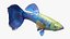 Guppy Fish Blue Diamond Rigged for Maya