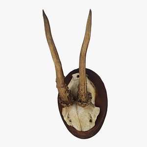 Deer Antler Trophy
