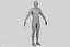 male athlete rigging 3d model