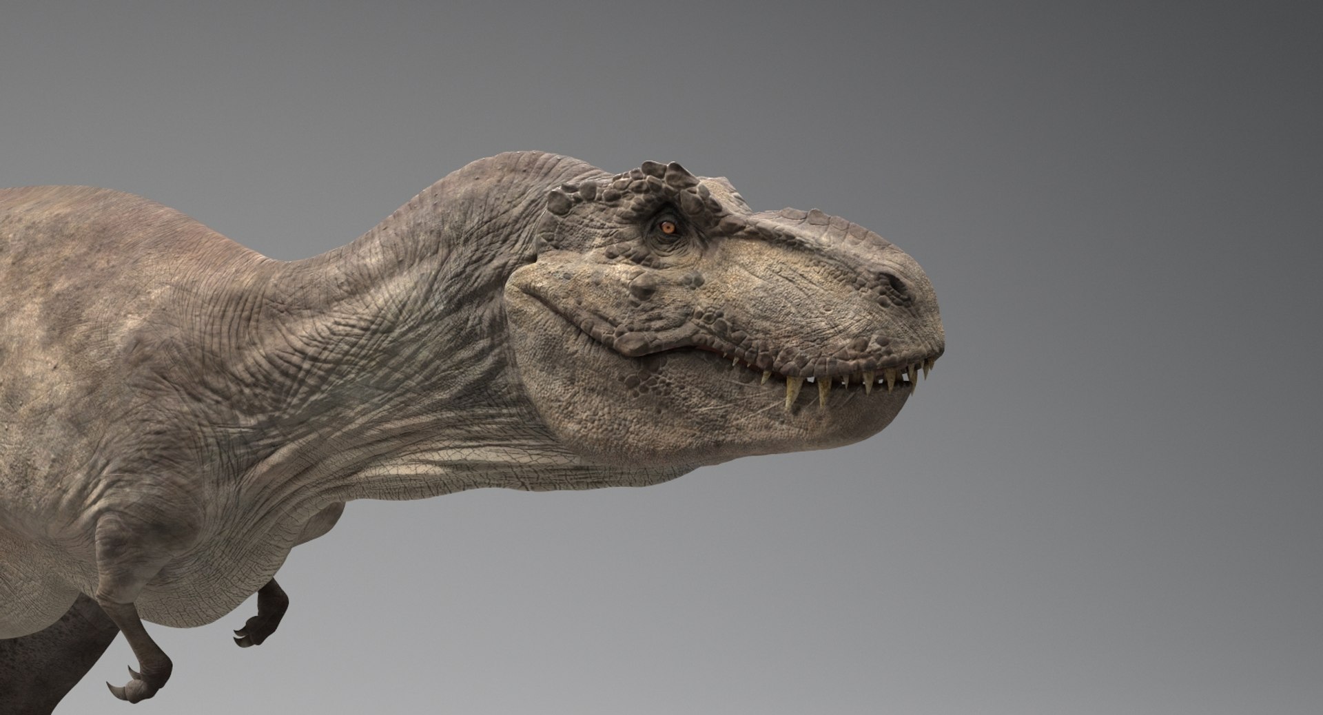 t-rex rig x https://p.turbosquid.com/ts-thumb/Un/W84dCE/FBRyAwCf/5/jpg/1539931773/1920x1080/fit_q87/debfba1145154d11c7dfb07a0c3d18cd3afbac60/5.jpg