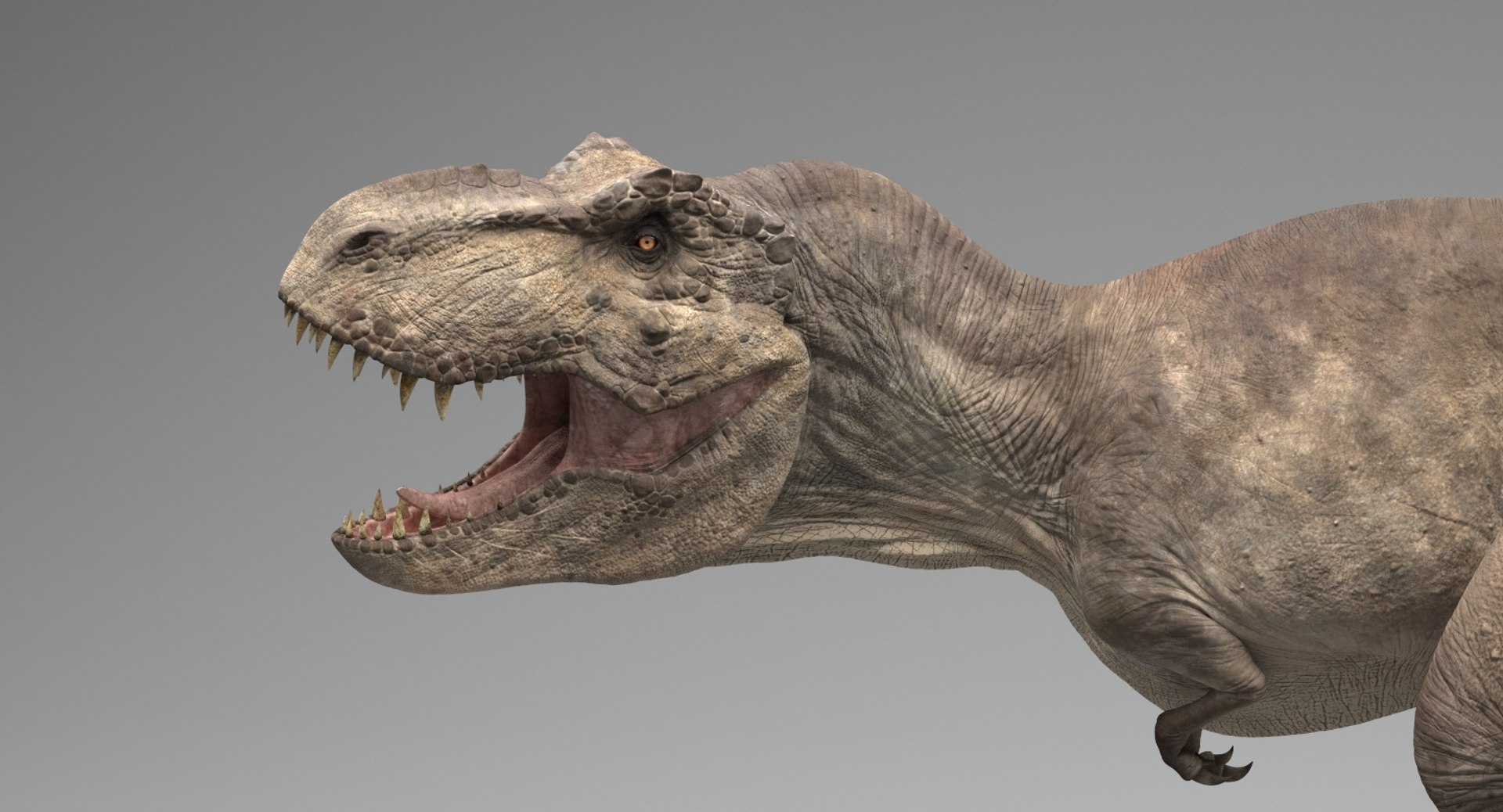 t-rex rig x https://p.turbosquid.com/ts-thumb/Un/W84dCE/Ls5XE5yQ/6/jpg/1539931773/1920x1080/fit_q87/0fa133920a90d49e55b39ae940c476b1cdd64e80/6.jpg