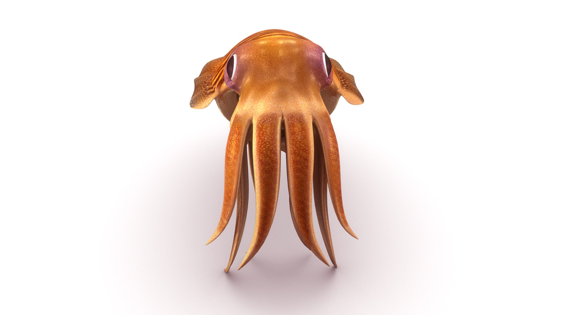 sepia 3d obj https://p.turbosquid.com/ts-thumb/Un/WvQ6KR/4fEkwkrH/b0452sepia_closeup.0001/jpg/1475748366/1920x1080/fit_q87/ef3b9ea24976ce1bdc627d6bb5e7907a7bc2255b/b0452sepia_closeup.0001.jpg