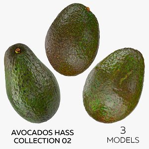 3D Avocados Hass Collection 02 - 3 models model