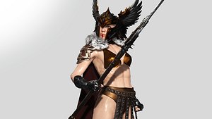 3D Valkyrie model