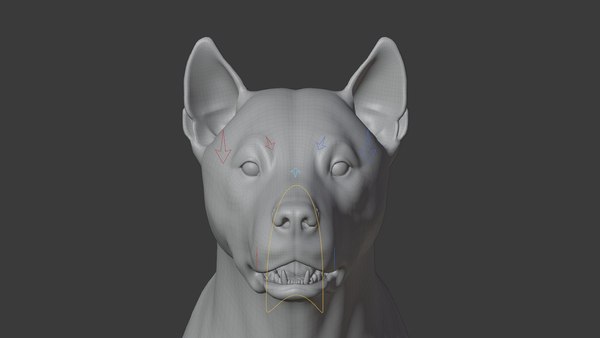 modelo 3d Four-Eyed Dog Animated - TurboSquid 2077289