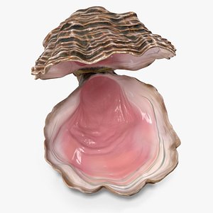 3D model Open Oyster Shell Colored