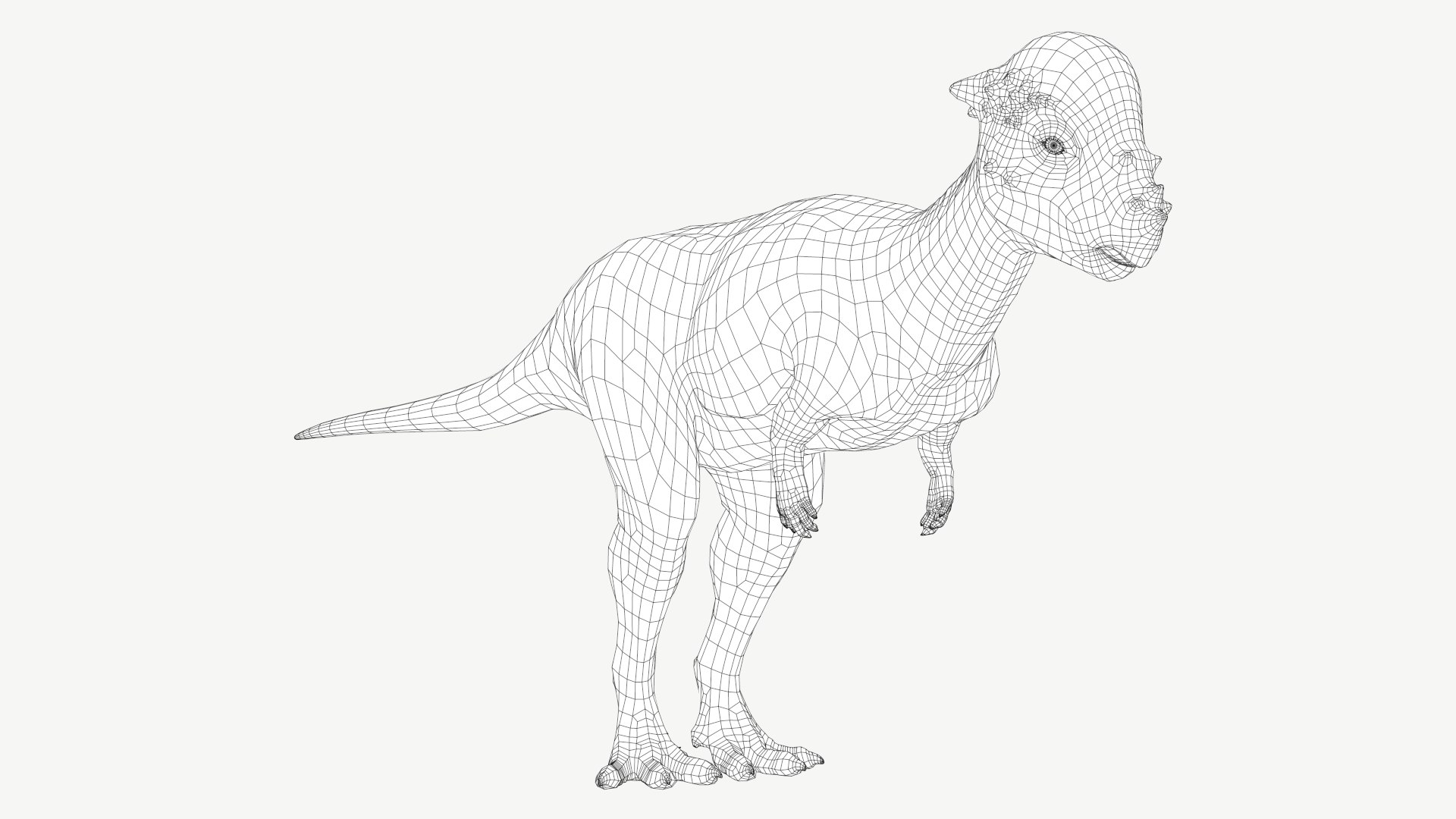 3D dinosaur animal pachycephalosaurus model https://p.turbosquid.com/ts-thumb/Un/diTKgk/AO/1a/png/1728548646/1920x1080/fit_q87/35c26f78e04f8ec7deb4289ed2597287266989ea/1a.jpg