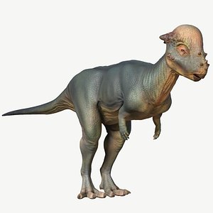 3D dinosaur animal pachycephalosaurus model