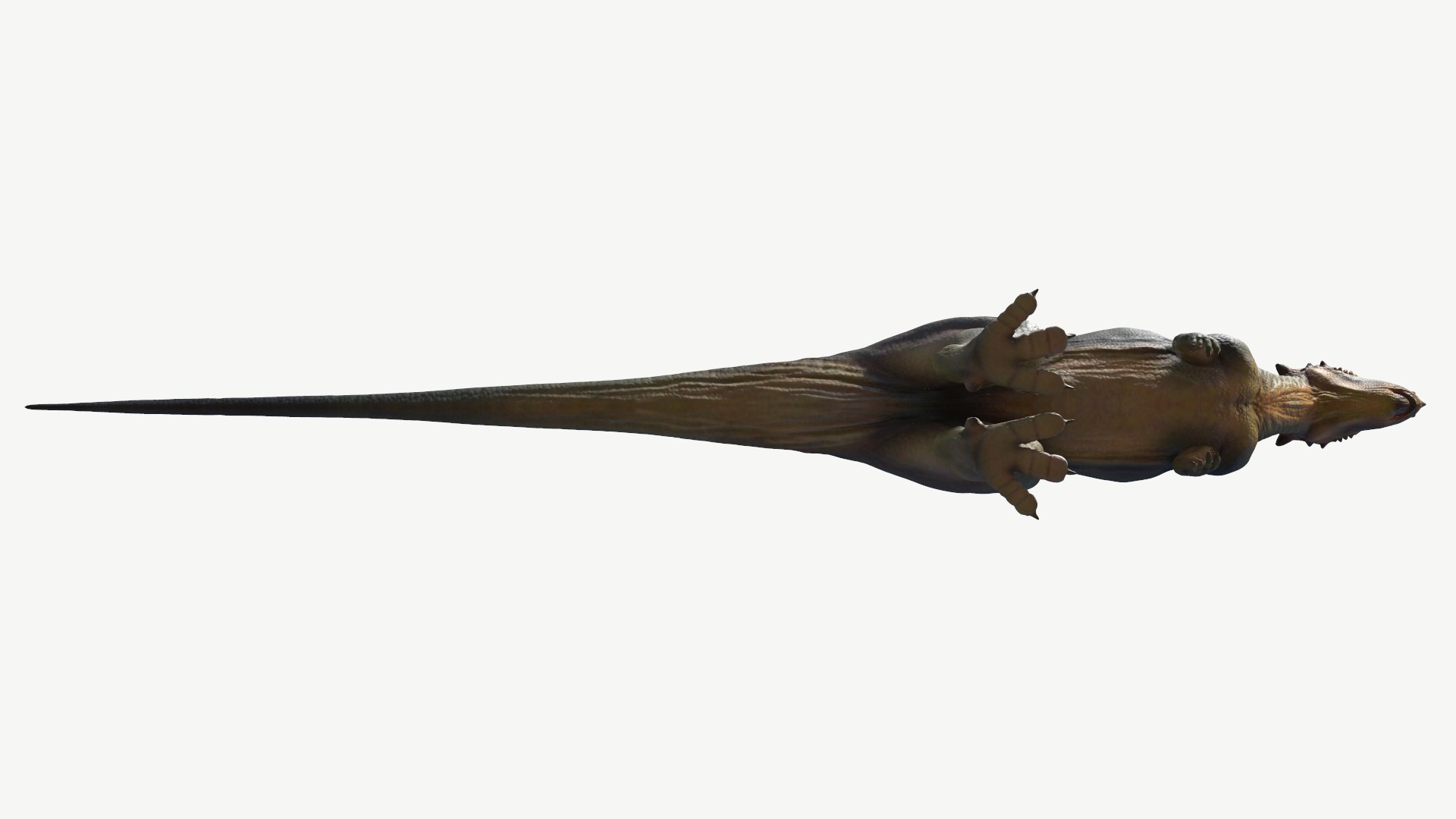3D dinosaur animal pachycephalosaurus model https://p.turbosquid.com/ts-thumb/Un/diTKgk/id/6/png/1728548650/1920x1080/fit_q87/77398e7a460765f0553227ca5b6b39f52df794c9/6.jpg