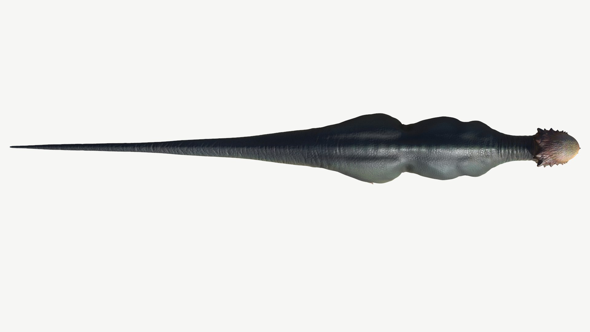3D dinosaur animal pachycephalosaurus model https://p.turbosquid.com/ts-thumb/Un/diTKgk/qD/4/png/1728548648/1920x1080/fit_q87/45757c9534e8c92bec3ad156e4986ac2c3614c23/4.jpg