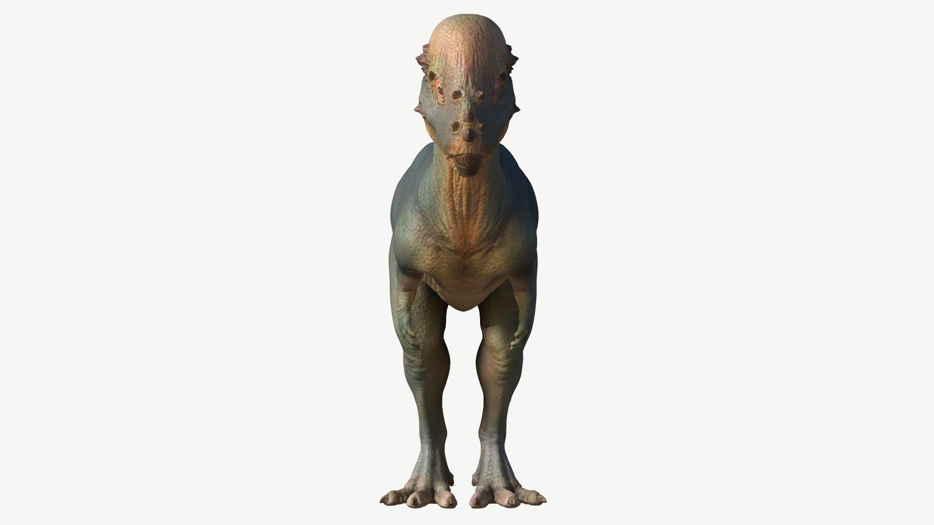 3D dinosaur animal pachycephalosaurus model https://p.turbosquid.com/ts-thumb/Un/diTKgk/u3/5/png/1728548649/1920x1080/fit_q87/2996e2457f440be3c6be39826d6924e12796dfa7/5.jpg