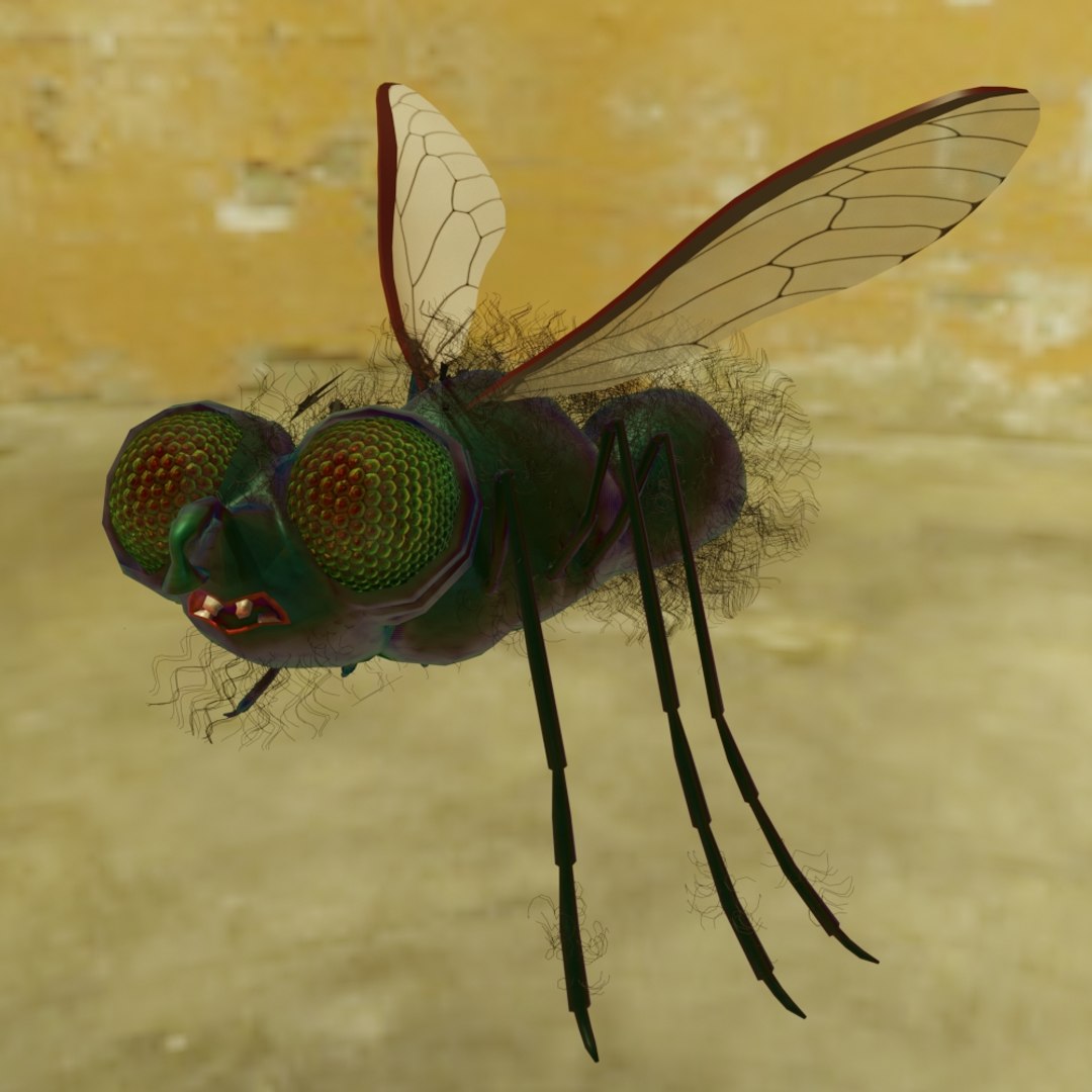 3D Model Fly Rigged - TurboSquid 1484053